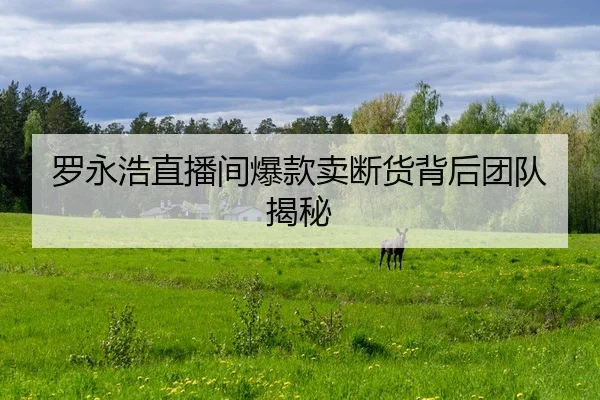 罗永浩直播间爆款卖断货背后团队揭秘